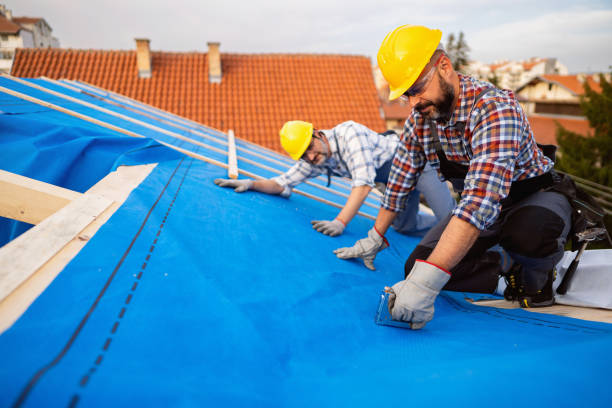 Quick and Trustworthy Emergency Roof Repair Services in Mcallen, TX